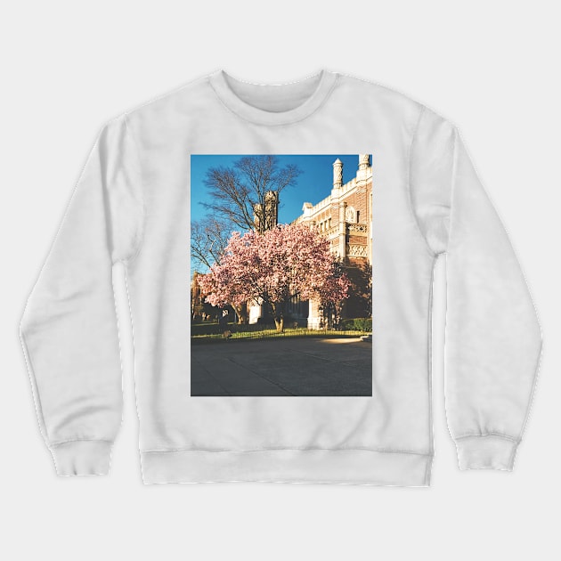 Spring Bloom Crewneck Sweatshirt by Tess Salazar Espinoza